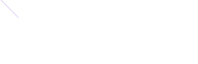 최소시간 x 최대효과 SLIM 행정학